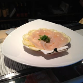 Scallop (SA)