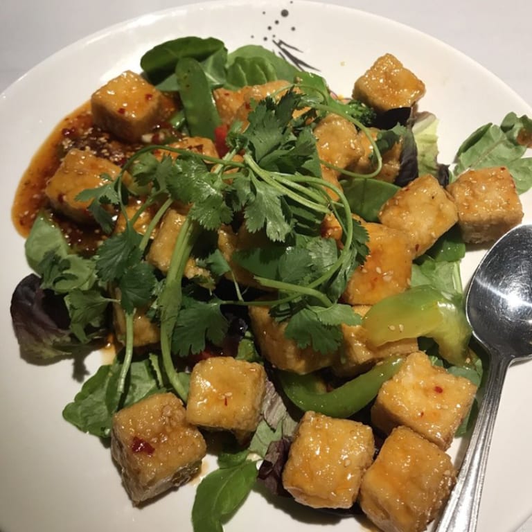 Savor Our Tofu Creations